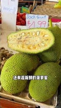 澳洲凯恩斯4天3夜的保姆级攻略！#海外生活 #海外生活vlog #抖音看世界