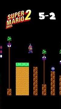 Super Mario Bros 2. 5-2