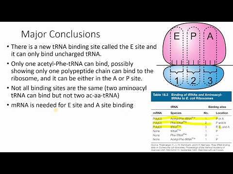 Table 18.2 Identification of 3 tRNA binding sites on ribosomes