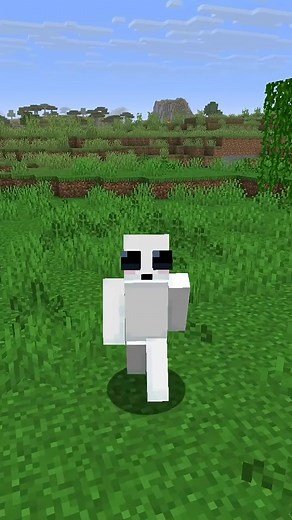 Minecraft Gameplay & Tips