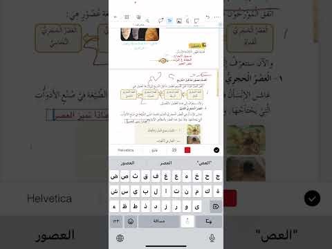شرح وحل اسئلة الدرس عصور ما قبل التاريخ الصف السادس الفصل الاول شرح مبسط وممتع منهاج القديم
