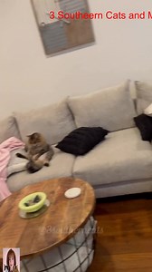 Tigger is creepy AF sometimes, but he’s Completely normal… I think #3southern #reels #viral #loves #tiktok #videos | Kristi W Cattes
