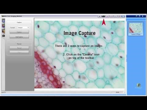 Motic Images Plus Software Setup: First Steps