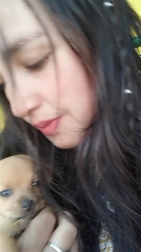 #Mi chichi 🐶😍🤗