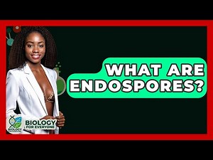 What Are Endospores? - Biology For Everyone
