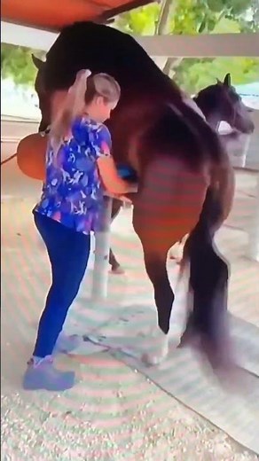 Shocking!!!!! What are they doing? Horse & Girl #shorts