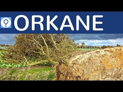 Orkane - Was sind Orkane? Wie entstehen Orkane? Wieso gibt es immer mehr Orkane? Einfach erklärt