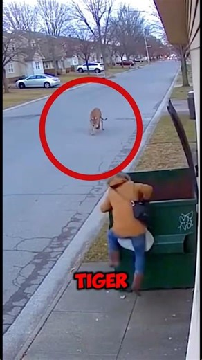 Her Split-Second Decision Saved Her Life 🧠🤯