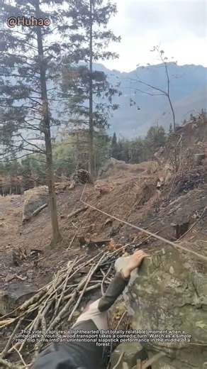 "Timber Transport Fail! Hilarious Logging Mishap in the Mountains | Funny Work Moments"