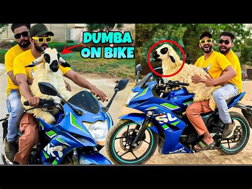 SURPRISING CUTE FANS WITH DUMBA GIFT 😍| MISHKAT KHAN FICTION VLOG | BAKRA EID 2025 | Mishkat Khan