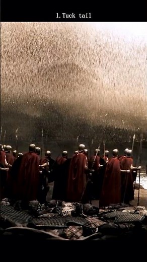 #movie 300: "Then We Will Fight in the Shade" – The Most Legendary Response in Cinema History