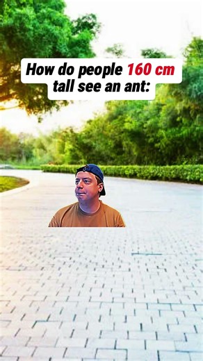 real 😅 #meme #funny real