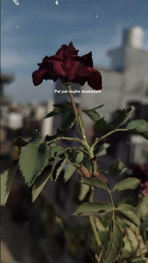 Saiyaan – Kailash Kher | Heart Touching Lyrics Video | Soulful Kailasa Song 2025 #kailashkher