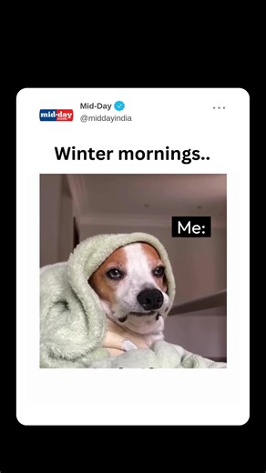 Winter mornings: The snooze button hits differently in sleepy mode! Agree? 😂 #Middaymeme #winters #wintermornings #cozymorning #wintervibes #lazywinterdays #winterfeels #funnymemes | MiD DAY