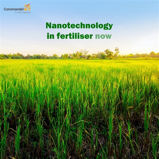 10K views · 80 reactions | Unlock the future of agriculture with innovation! Introducing Gromor Nano DAP-the key to increased production. Boost your agricultural yield and embrace the power of cutting-edge technology. #AgriculturalInnovation #GromorNanoDAP #BoostingYields | Coromandel International Limited | Facebook