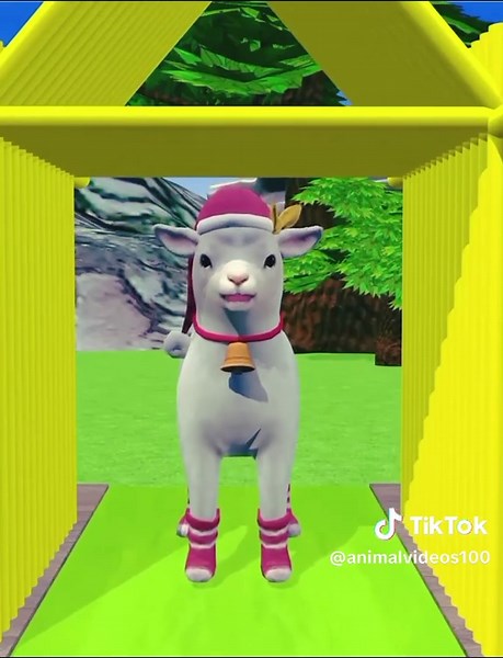 animalvideos100 on TikTok