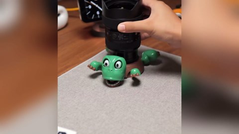 Turtle Coaster, 3D Printed Funny Tea Coasters with Interactive Expression, Turtle Cup Holder, Insulated Drink Mat for Coffee and Wine Glasses, Home Decor and Kitchen Accessories