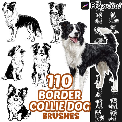 Procreate Border Collie Dogs Animals Brushes, 100+ Border Collie Dog Animal Procreate Stamps, Nature Procreate, Pet Animals, Dogs Species - Etsy