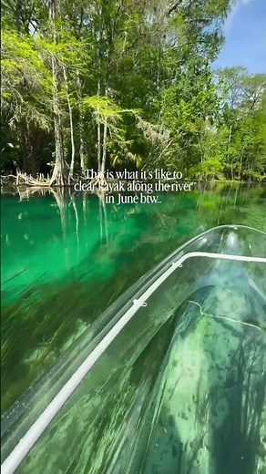Discover the magic of Silver Springs - where the water stays cool & nature’s wonders are all around