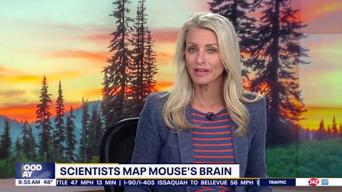 Seattle scientists help map mouse's brain