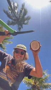 daily coconut . . . #coconut #coconutwater #tropicalfruit #coco #tropics #fruit #coconutmilk #coconutopening #palmtree #coconuttree #boatlife | Coco Loco LLC