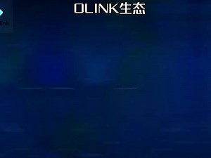 openlink是什么意思