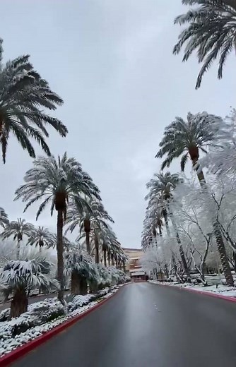 78K views · 2.1K reactions | A firsthand look at the drive in to Red Rock Casino Resort & Spa this morning. Wow. | Station Casinos | Facebook