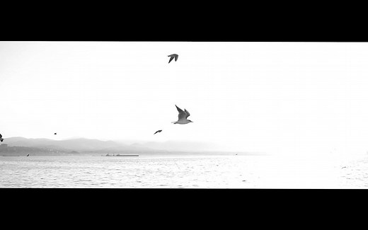 【Premiere 1分钟教程】 电影感intro效果