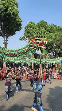 Dragon Naga Liong Dance Barongsai CFD Bogor #barongsai #liondance