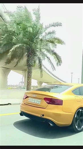 فمان الله يا أول من سكن بين الضلوع العوج عسى دربك سفير ويا عسى الله ما يخليني توكل لا تودعني رح عسى درب الجفا المسموج يصادف درب فرقى عقبها ما تملك عيني – ضيدان بن قضمان-#اكسبلور #fyp #الحمدانية