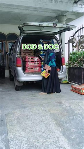 tetap dijalur DOD dan DOC DOD peking DOC KUB DOC ELBA #bebekpedaging #bebekpeking #penetasan