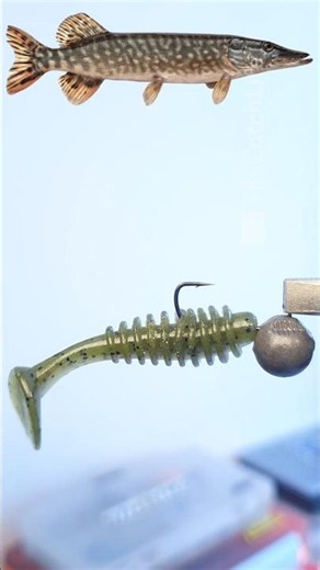 Rigging a soft plastic bait on a jig head #shorts