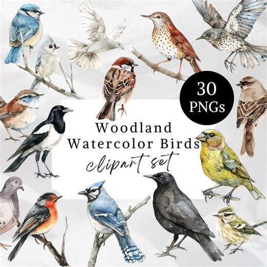 Woodland Bird Clipart PNG, Cottagecore Watercolor Birds Illustration, Rustic Forest Bird Art for Journals Planners, Minimal Nature Clip Art - Etsy