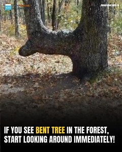 It can save your life, and I had no idea 😨 | About Life