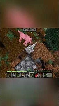 I Survived Using Half A Heart In Minecraft!