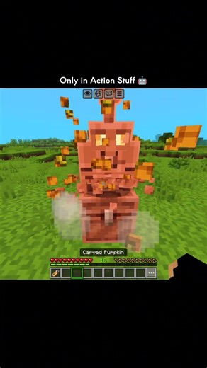 Minecraft Name Tag Moment 🤖