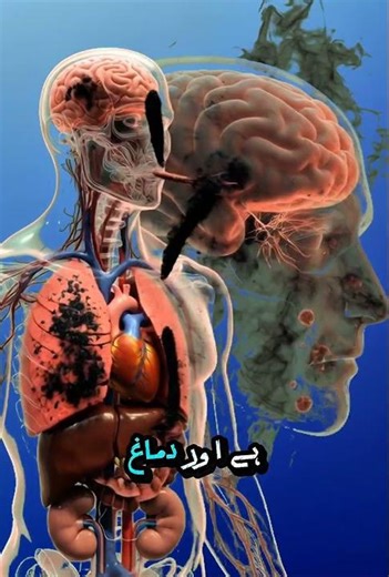 Smoking Kills 🚬 | 3D Animation Shows What Happens Inside Your Body (Shocking Reality)