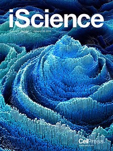 Our paper for computational neuroscience is accepted by the journal iScience!