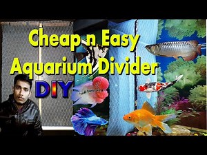 How to make diy aquarium divider | Aquarium divider | Aquarium divider DIY | diy tank divider