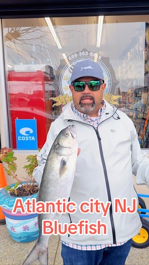2.4K views · 298 reactions | Atlantic City fishing report  bluefish...