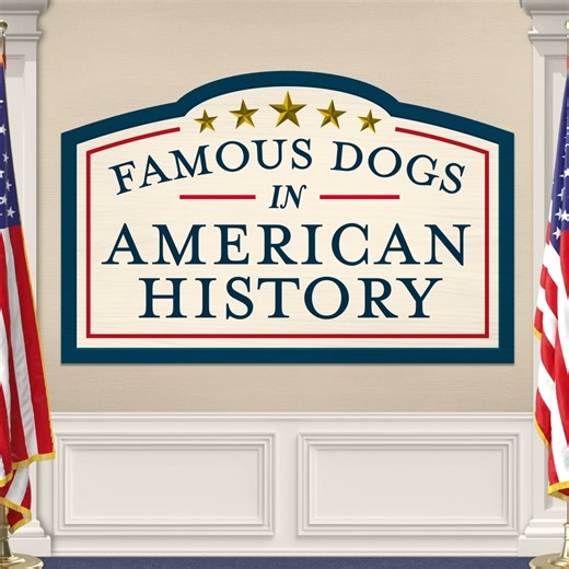 50K views · 168 reactions | Did you know some dogs have changed American history?? Which story was new to you and which one did you already know?? #EvolvePets #ChooseEvolve #AmericanHistoryDogs | Evolve Pet Food | Facebook