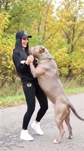 Dog Gives the Sweetest Kiss to His Favorite Person ❤️🐶 | Heartwarming Dog Love