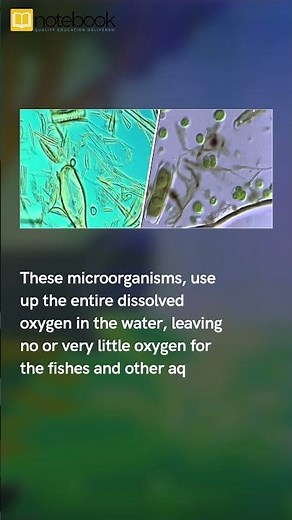 CBSE Class 7 Science – Wastewater Story Chapter Explained | Learn with Notebook: Smart Learning!