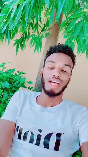 Exploring Somali Culture Through Humor and Tribe Dynamics