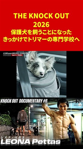 保護犬を飼うことがきっかけでトリマーの専門学校へ