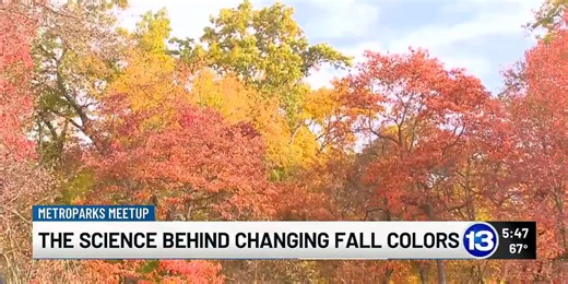 The science behind changing fall colors