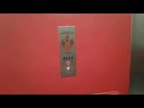 Checking out the NEWLY INSTALLED elevators at Target on West 23rd Street & 8th Avenue in Manhattan!