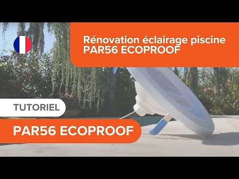 RENOVATION ECLAIRAGE PISCINE PAR ECOPROOF - SEAMAID