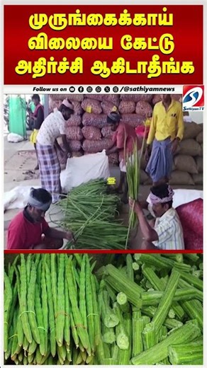 முருங்கைக்காய் விலையை கேட்டு அதிர்ச்சி ஆகிடாதீங்க