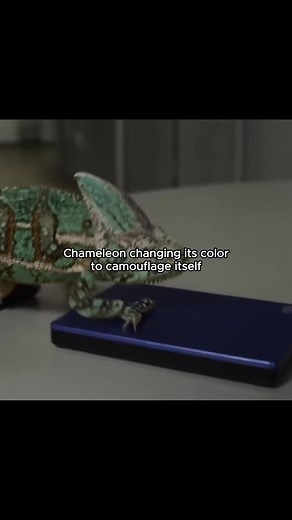 #physics #experiment #usa | Simplephysics4you